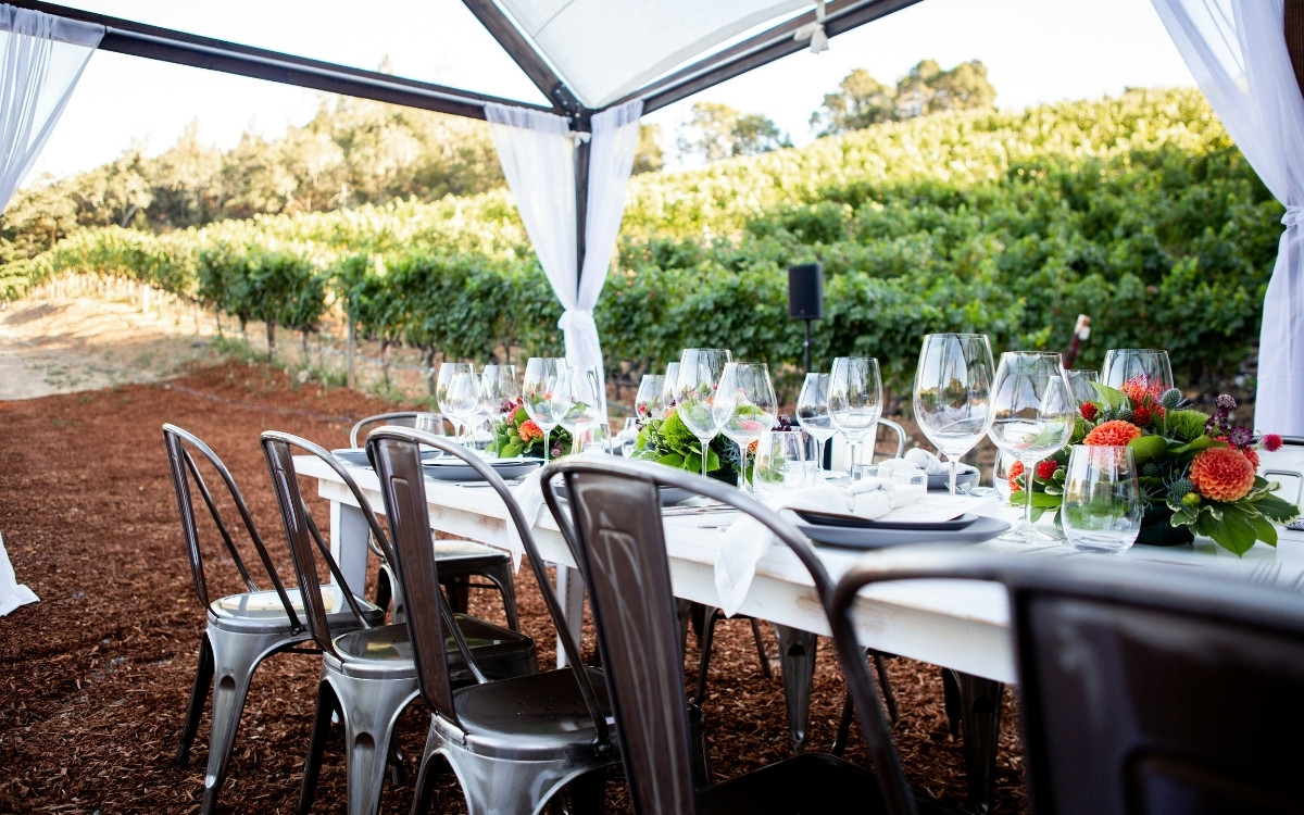 7 American Wine Regions You Haven’t Heard Of That Rival Napa