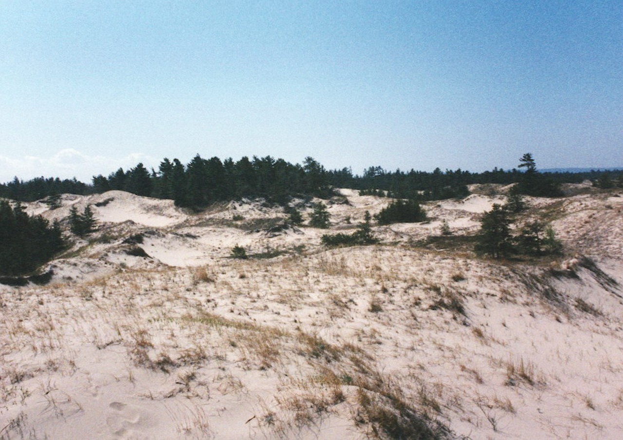 North Manitou Island: southern dunes
