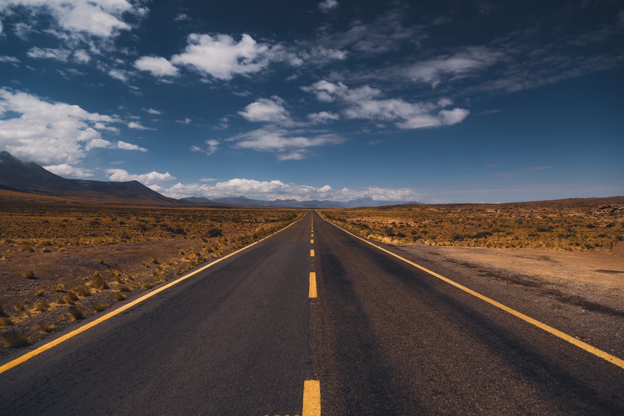 Pan-American Highway