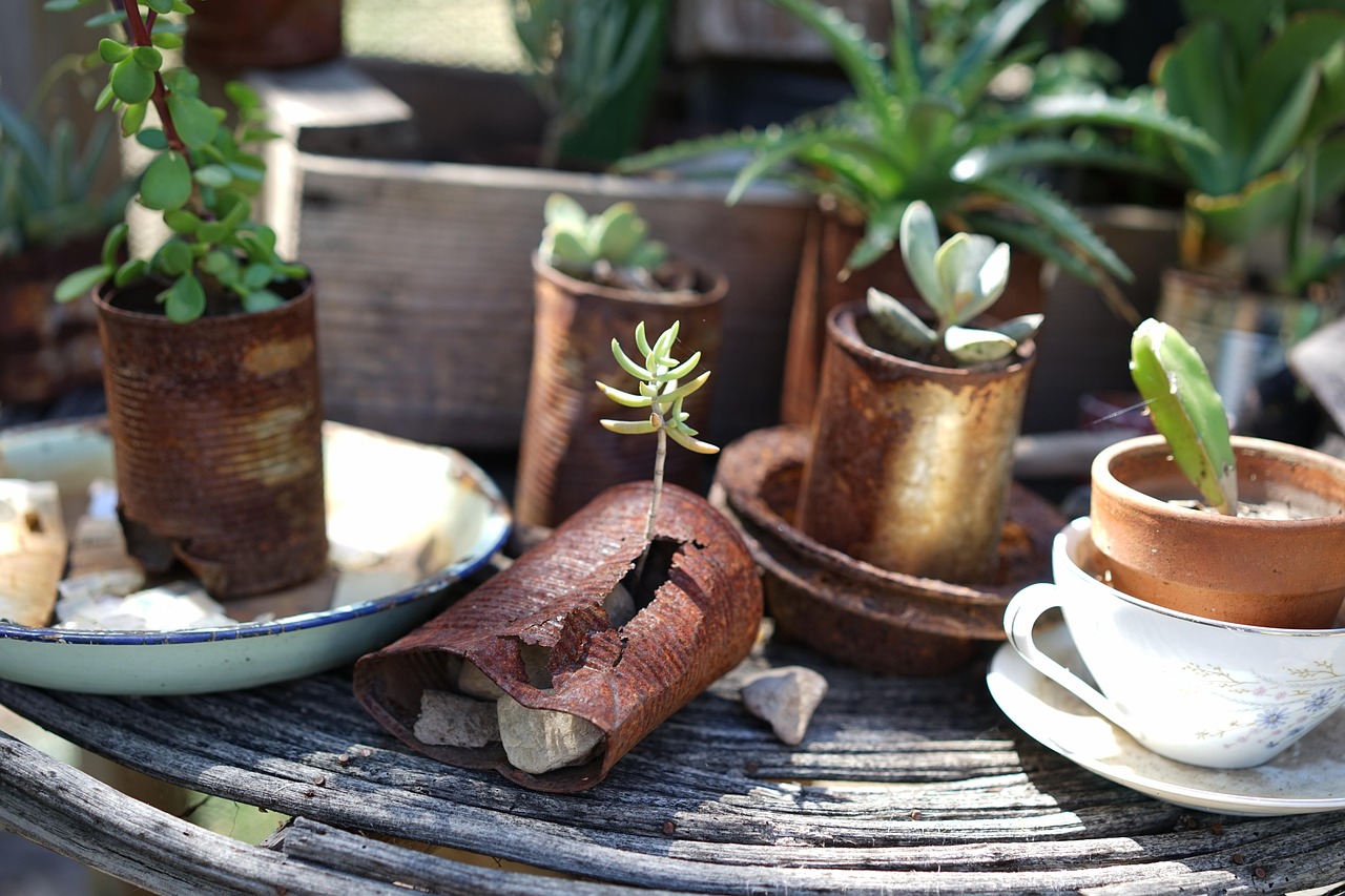 Tin Can Planters