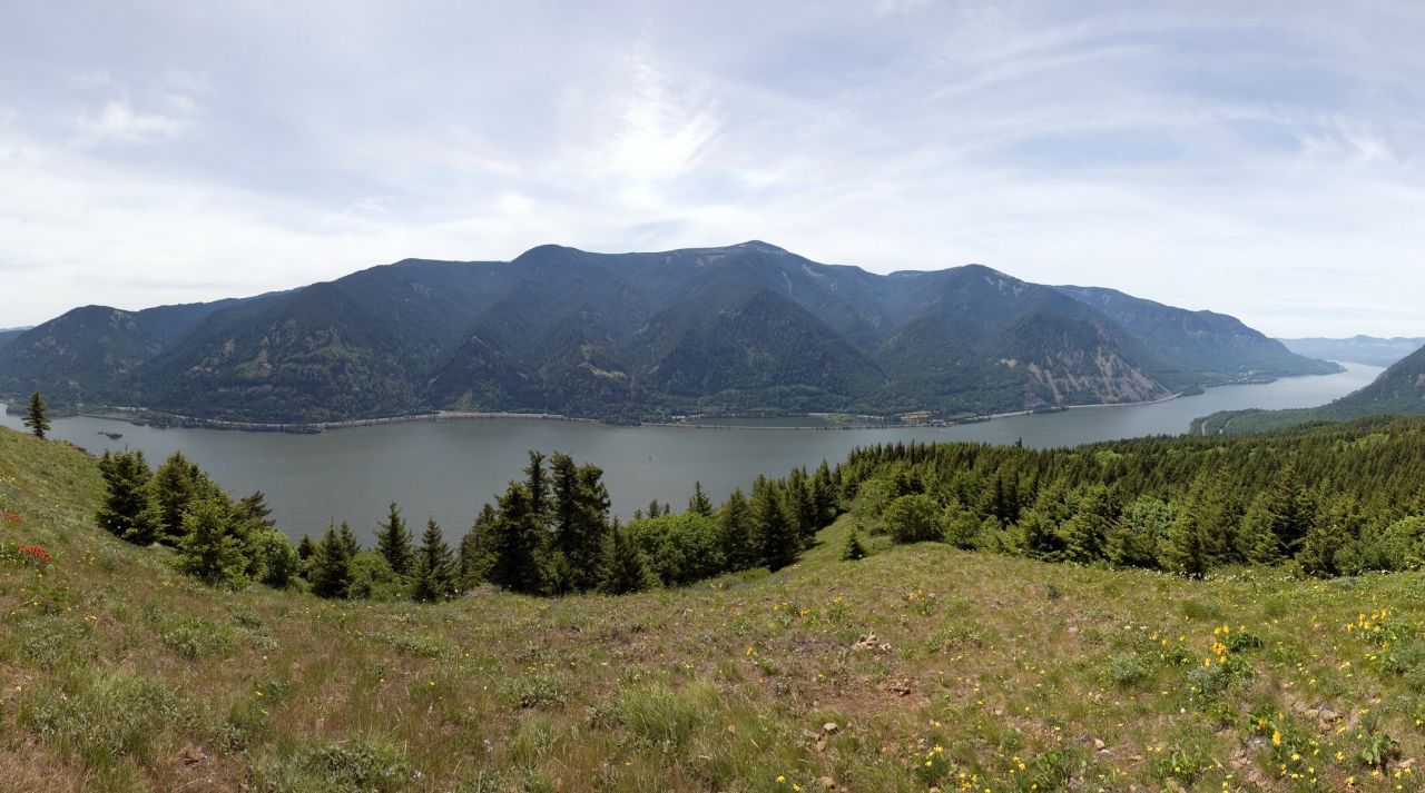 Dog Mountain Trail, Columbia River Gorge, Washington