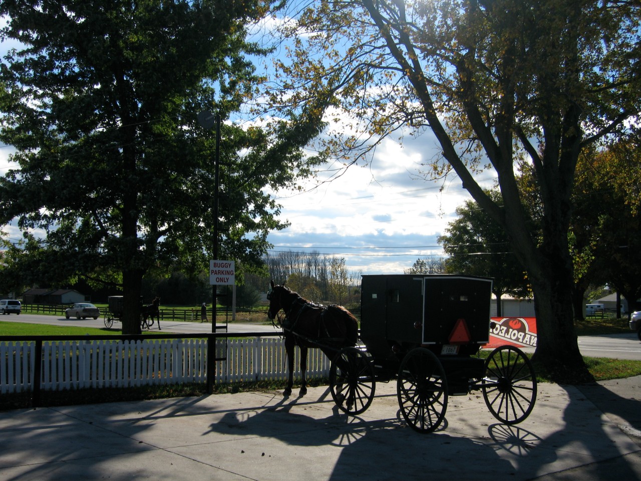Amish buggy in Shipshewana, Indiana