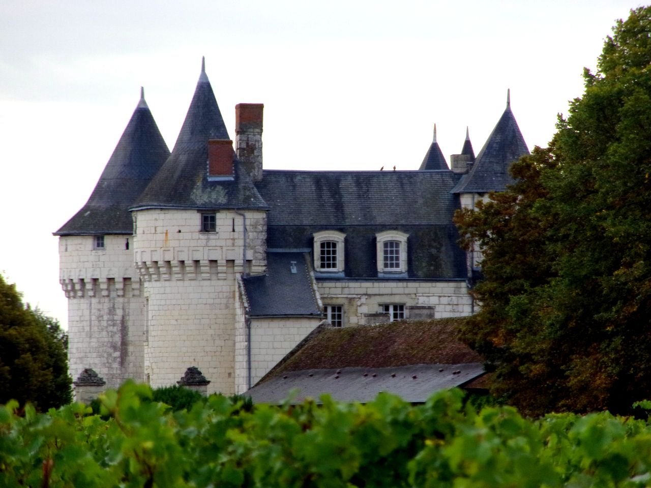 Chateau de Marcay, France