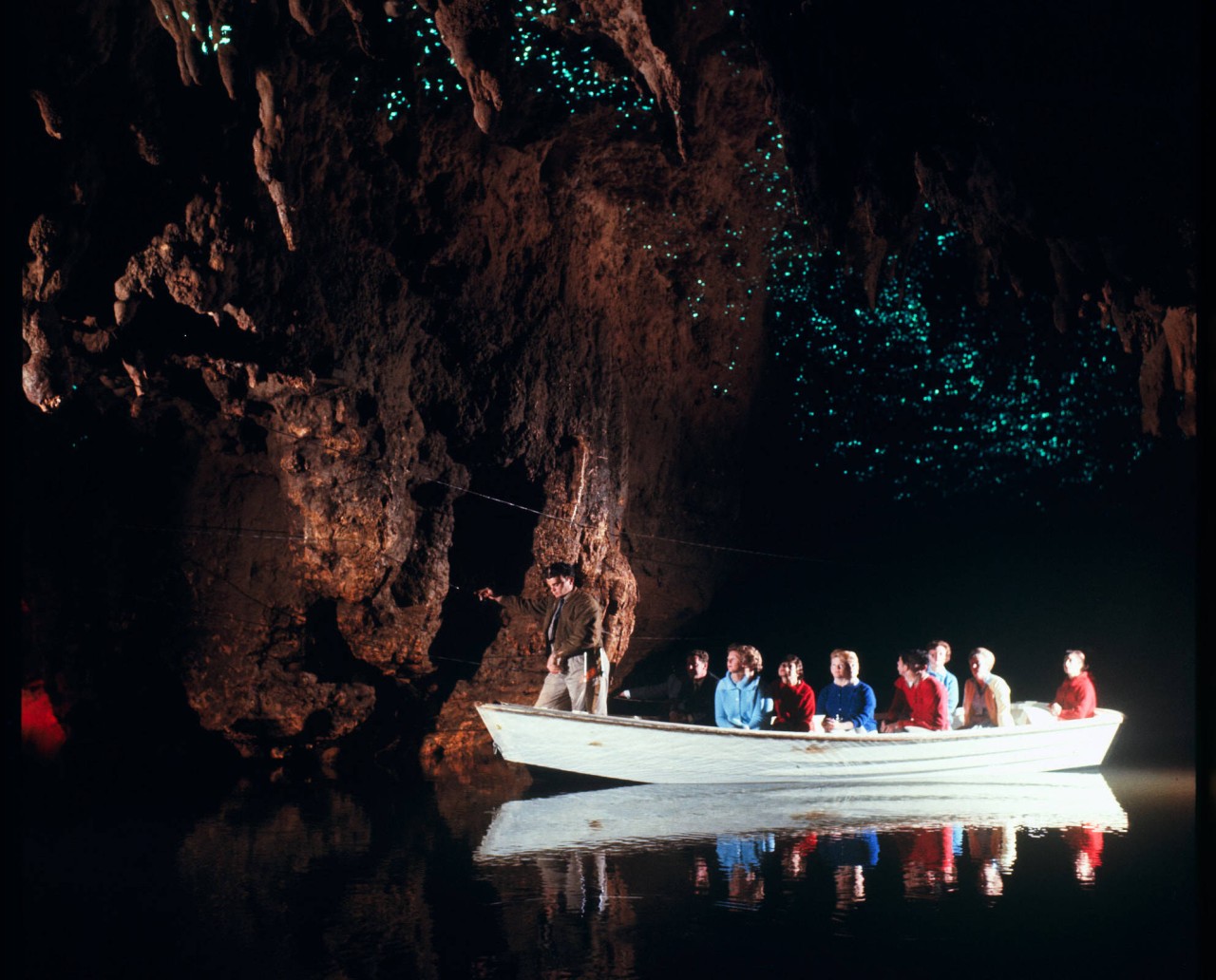 Waitomo Caves, New Zealand
