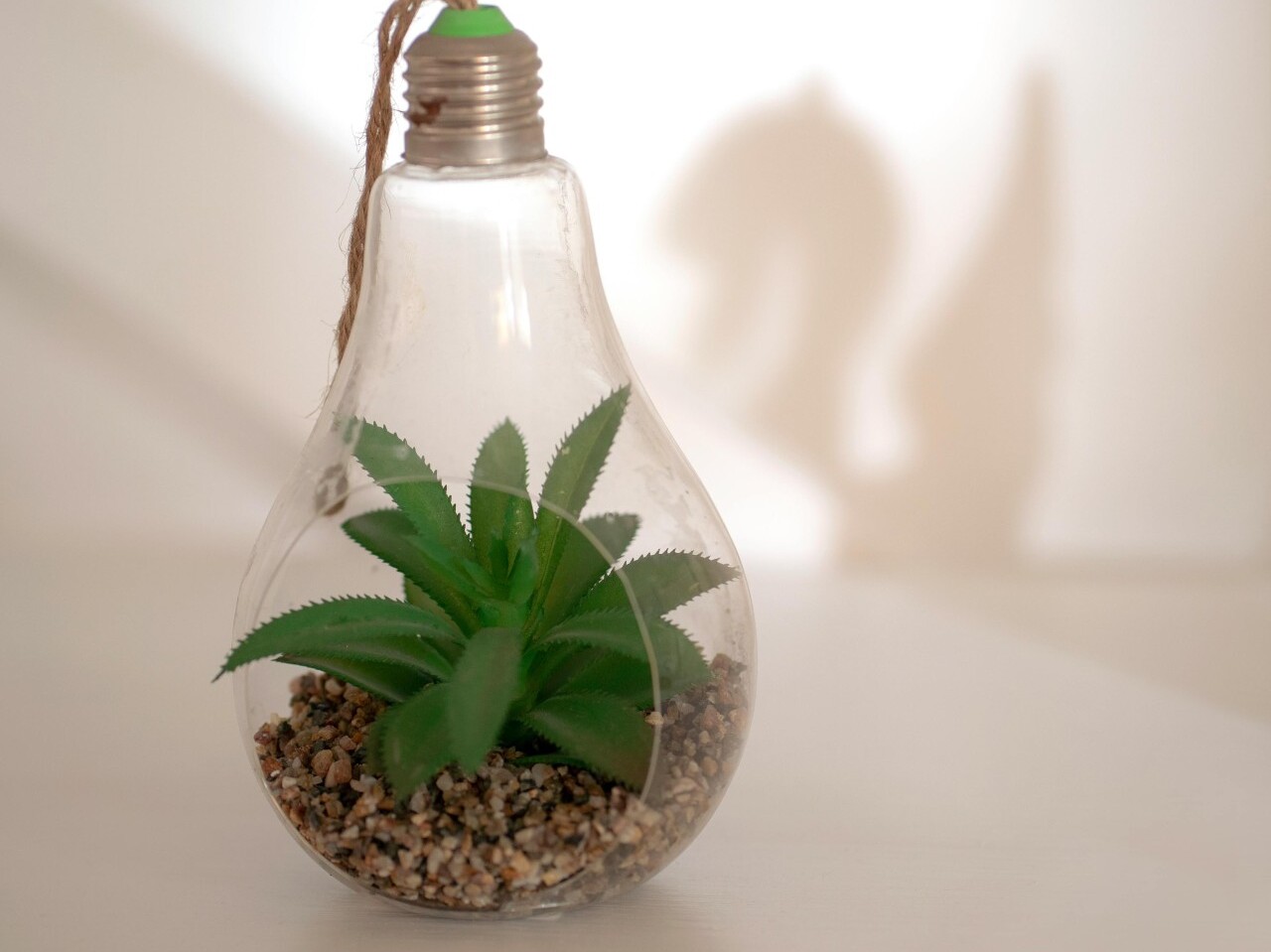 Lightbulb Terrariums