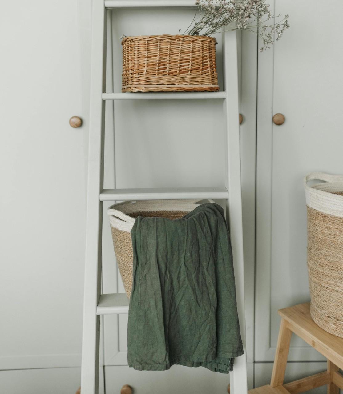 Old Ladder Shelves