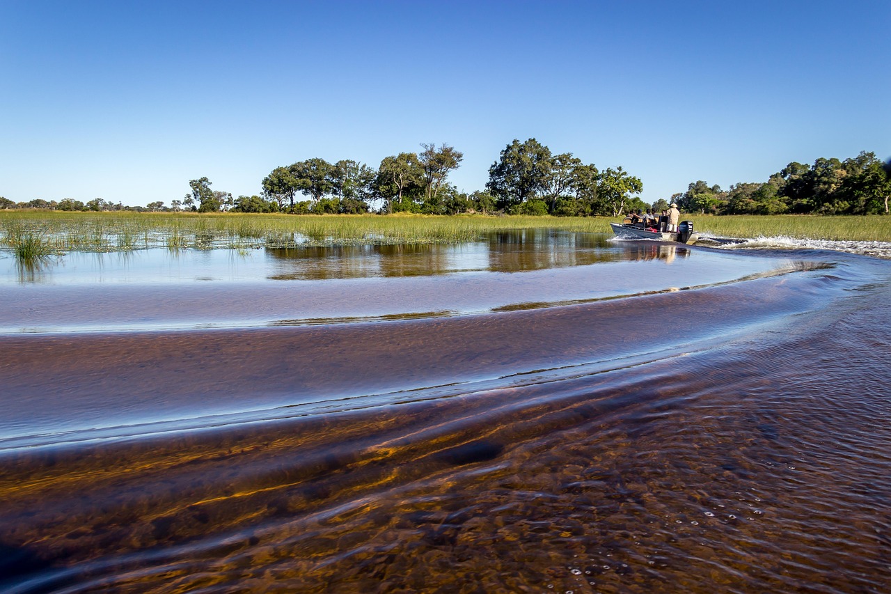 The Okavango Delta, Botswana
