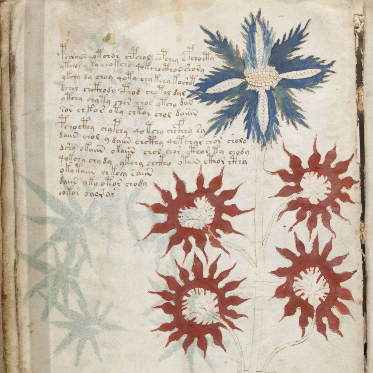 Voynich Manuscript