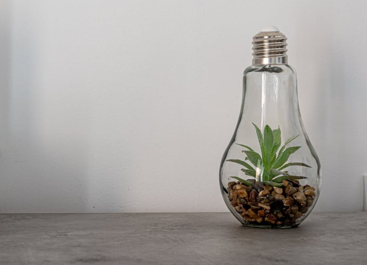 Lightbulb Terrariums