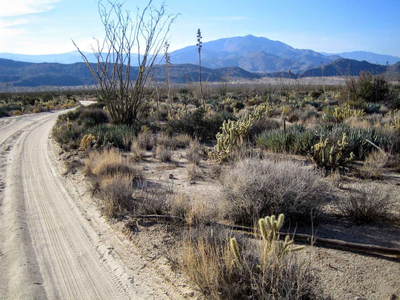 Anza-Borrego Desert State Park, California