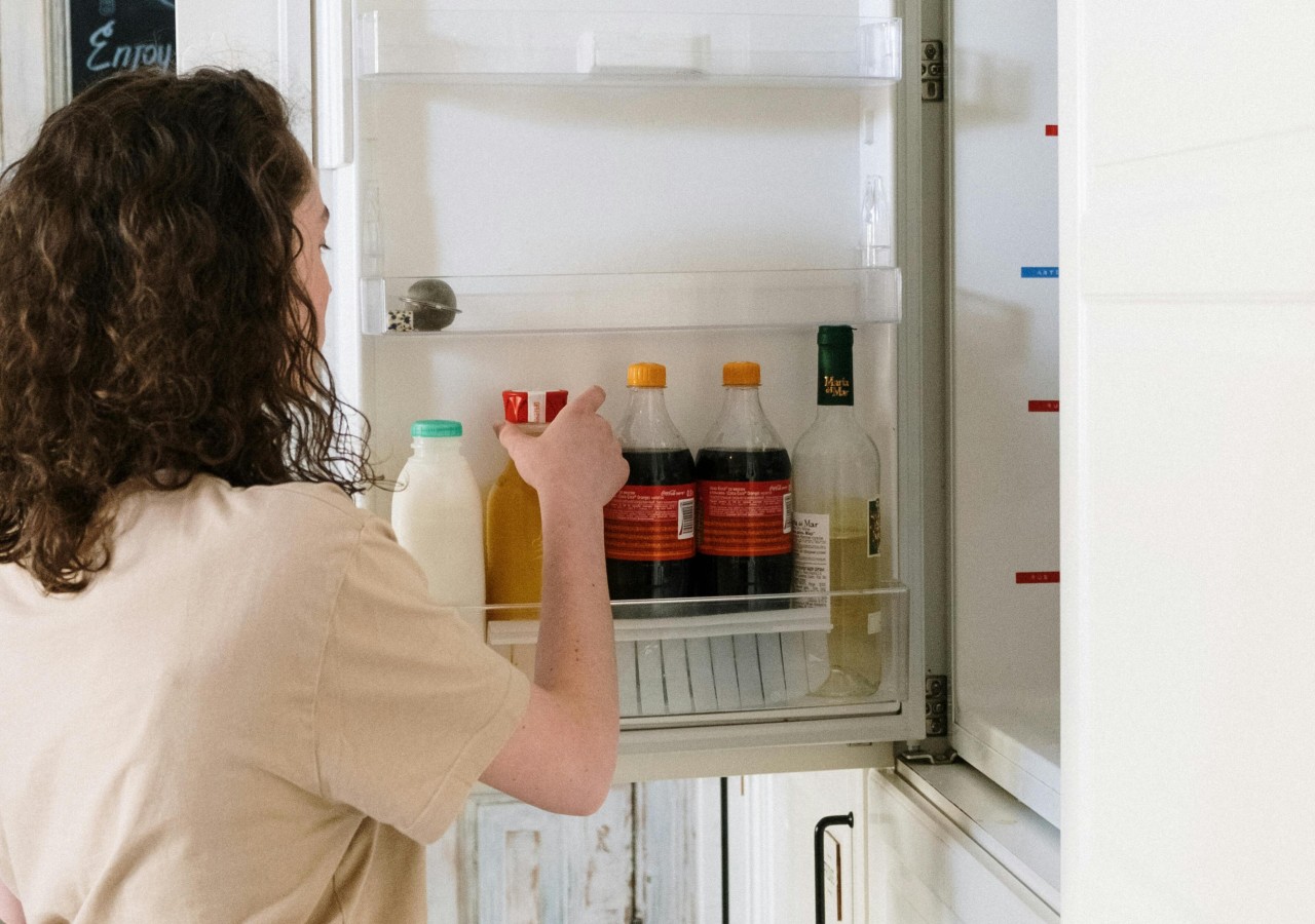 Refrigerator Door Shelves