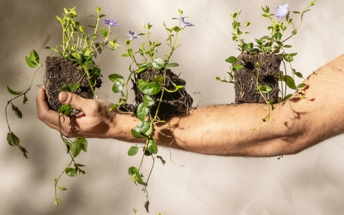 8 Decluttering Trends Organizers Swear by in 2025