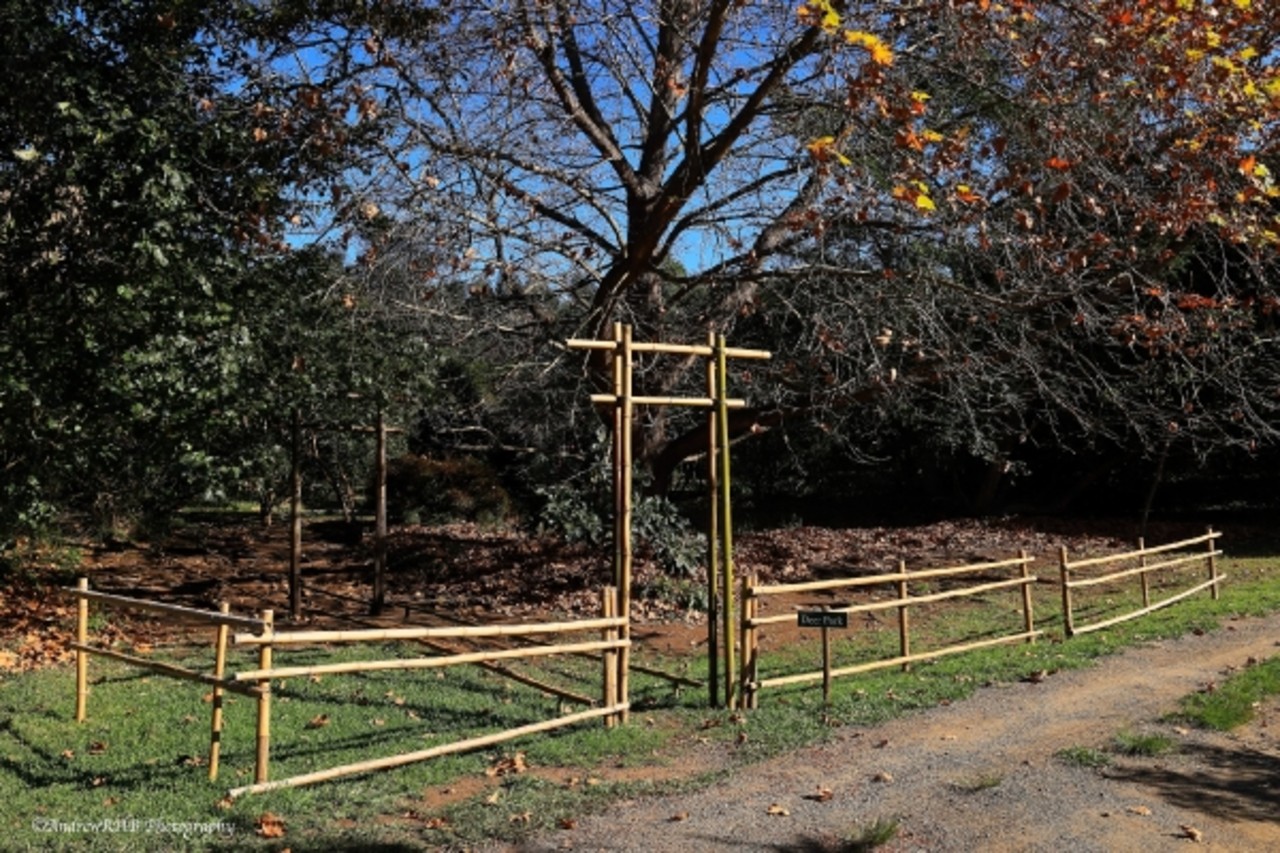 The Buddhist Retreat Centre, South Africa