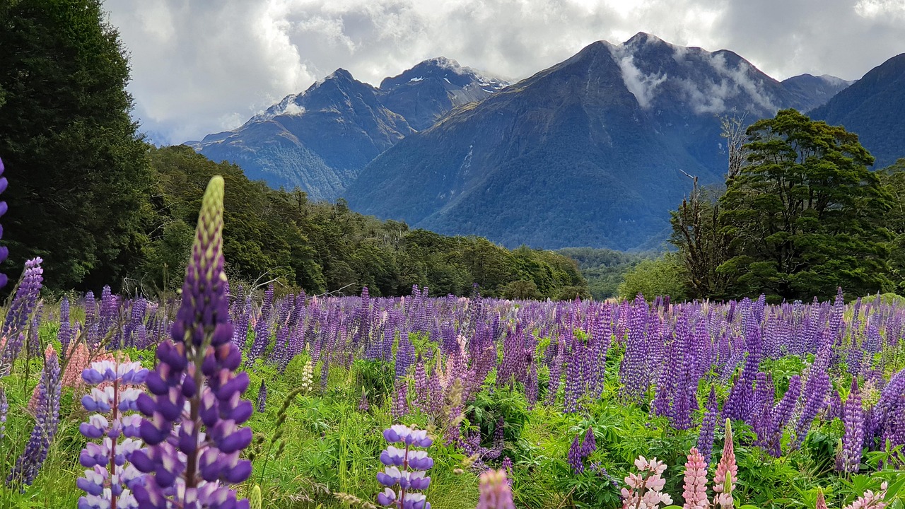 Fiordland, New Zealand