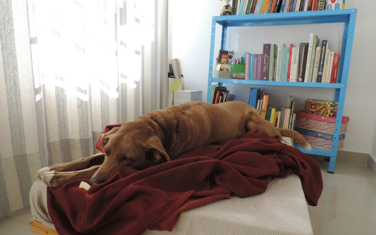 9 Everyday Habits That Are Secretly Making Your House Dirtier