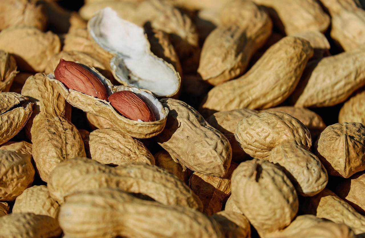 Roasted Nuts