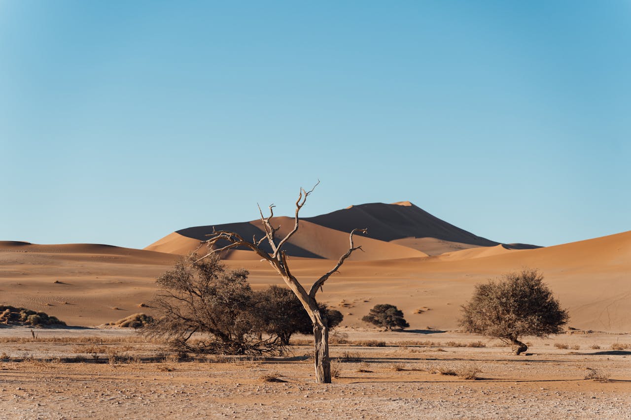 Namib Desert, Namibia