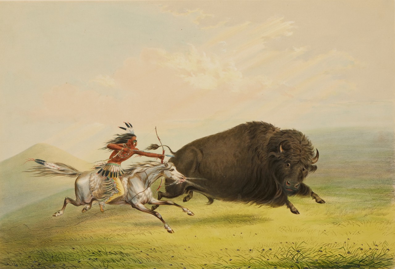 Buffalo Hunts