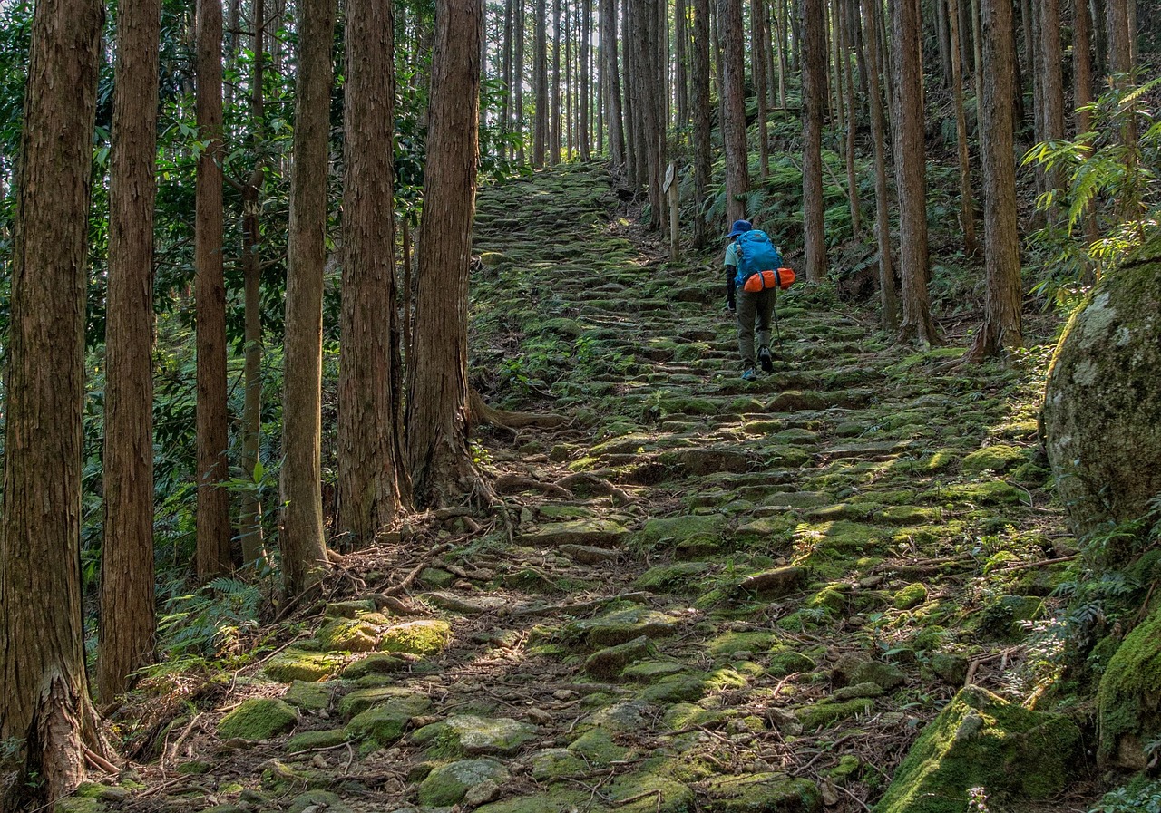Kumano Kodo