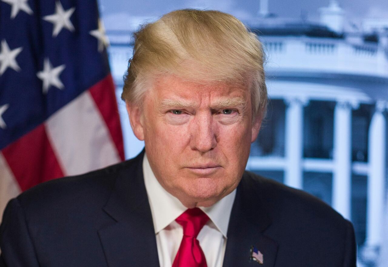 Portrait of Donald Trump