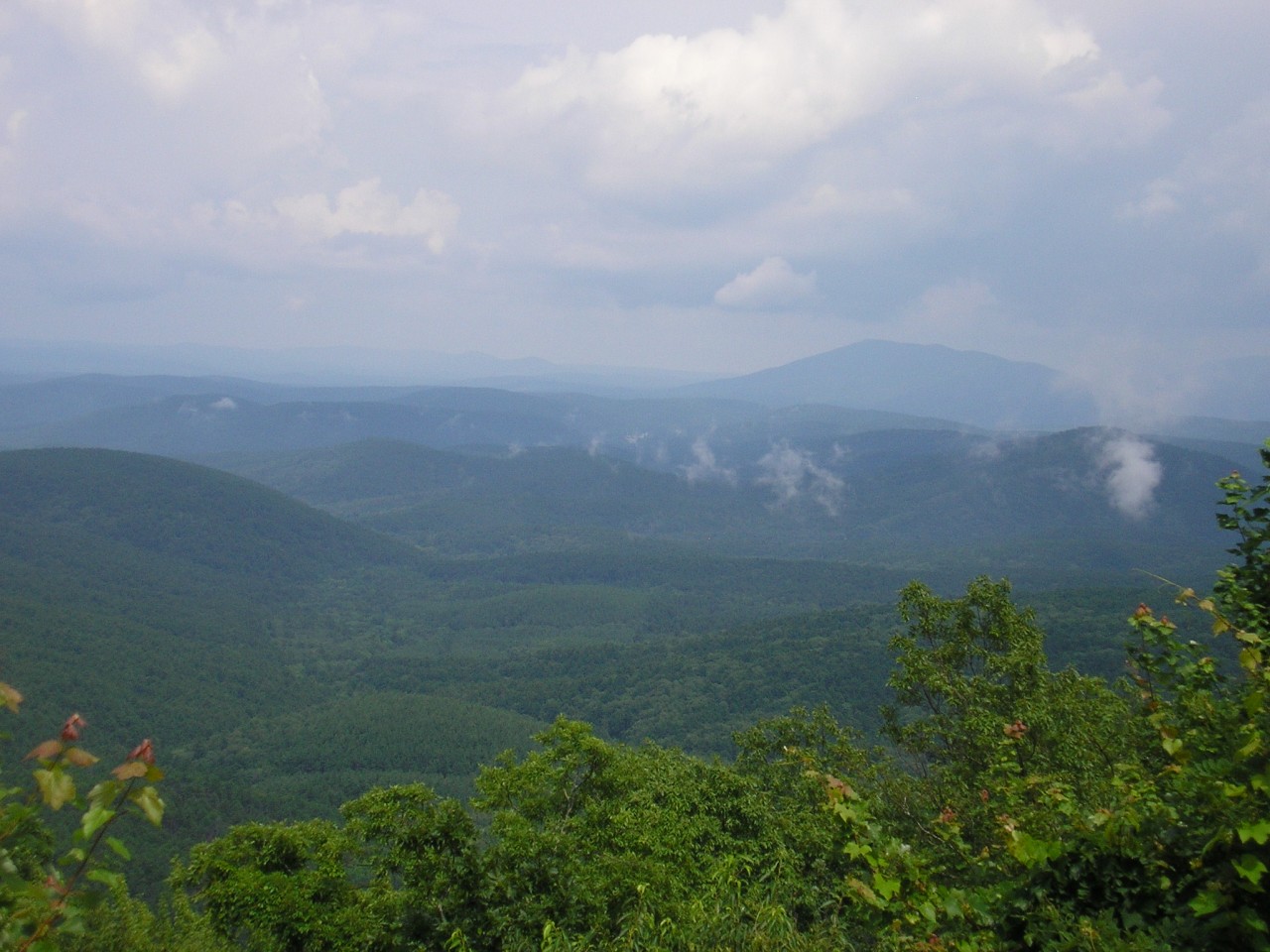 View from Talimena National Scenic Byway (Arkansas & Oklahoma)