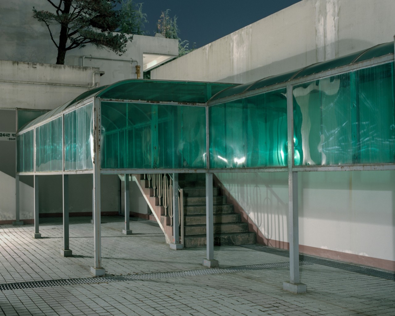 The entrance to the basement apartment