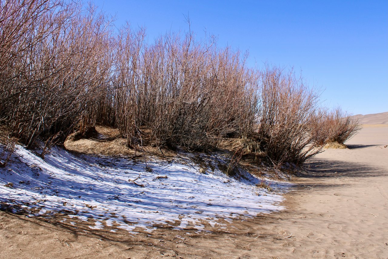 Great Sand Dunes