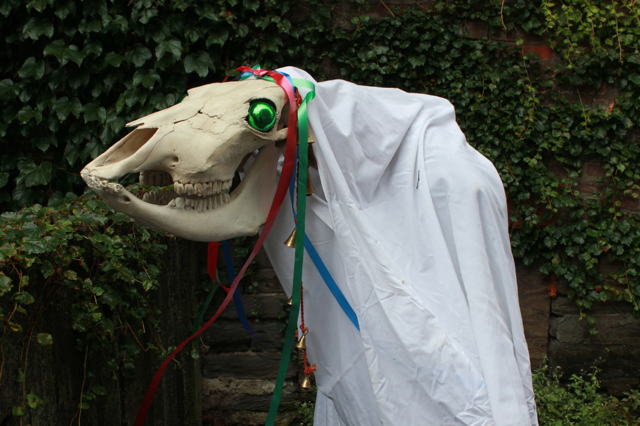 A Mari Lwyd, the Welsh equivalent of the Láir Bhán
