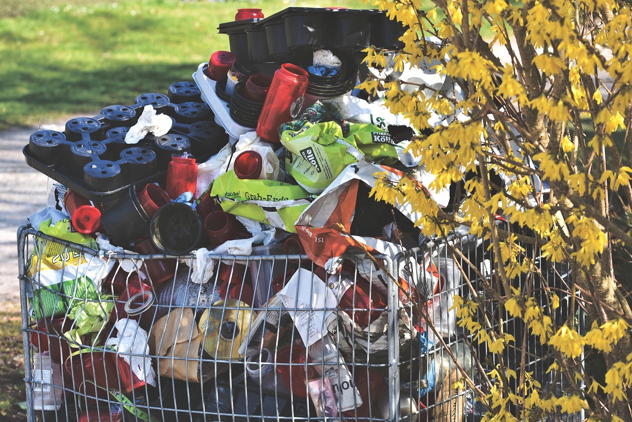Waste in yard