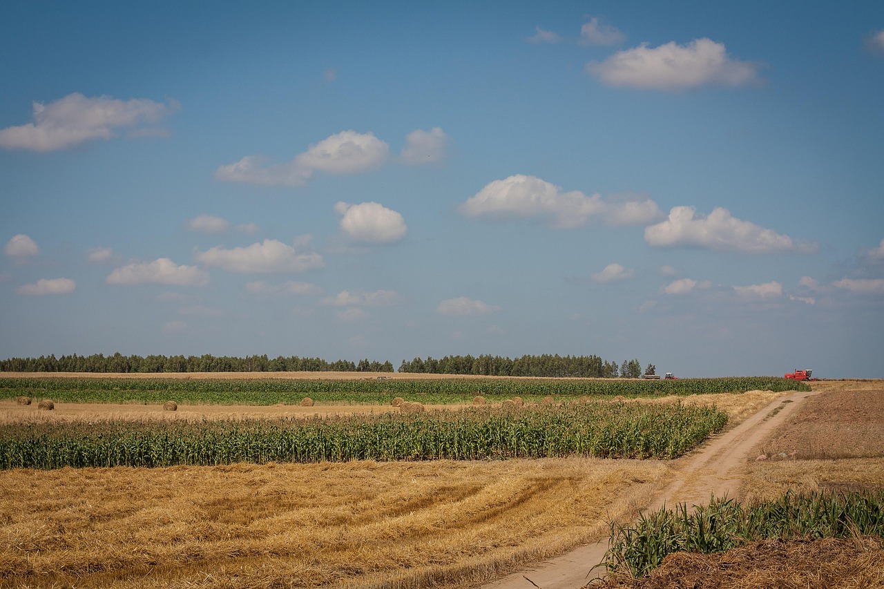 Farming