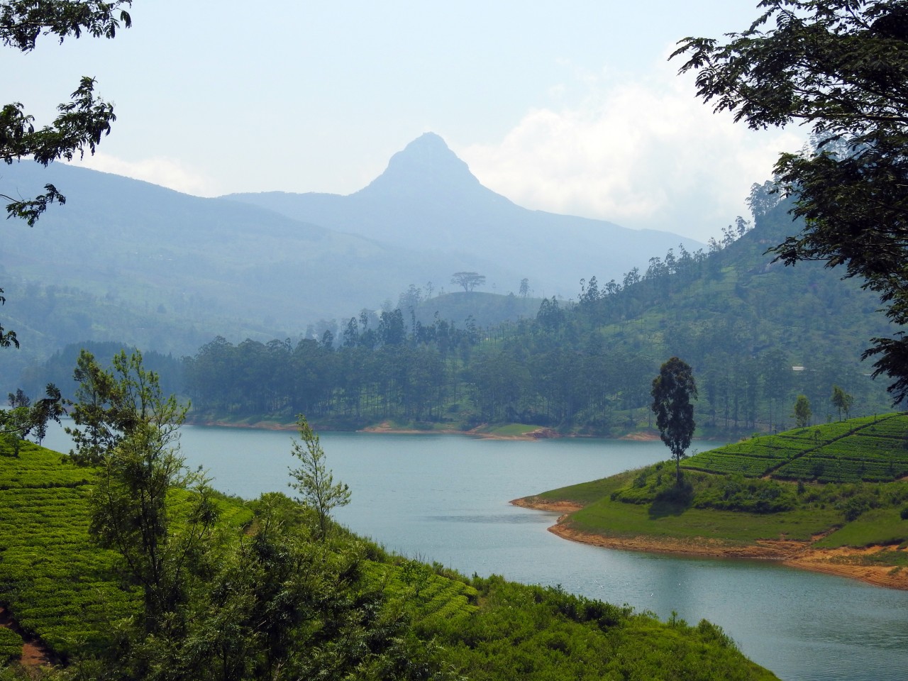 Adam's Peak from Maskeliya
