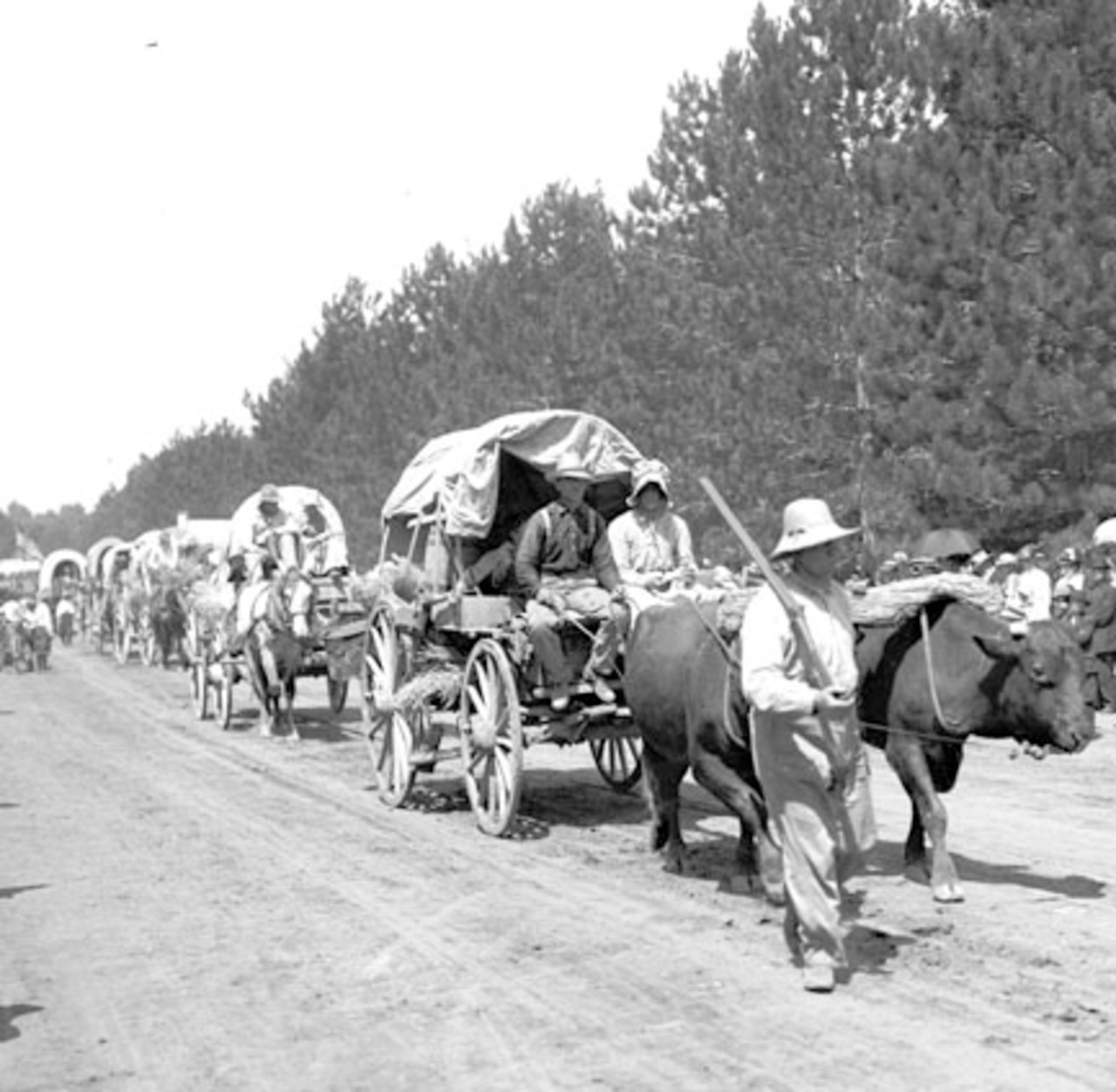 re-enactment of a wagon train in Utah