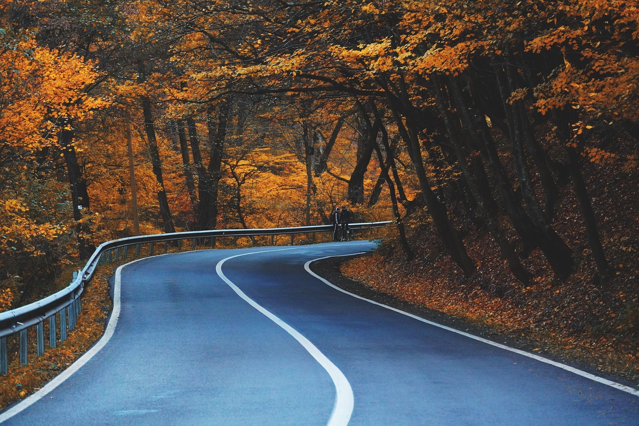 Autumn road