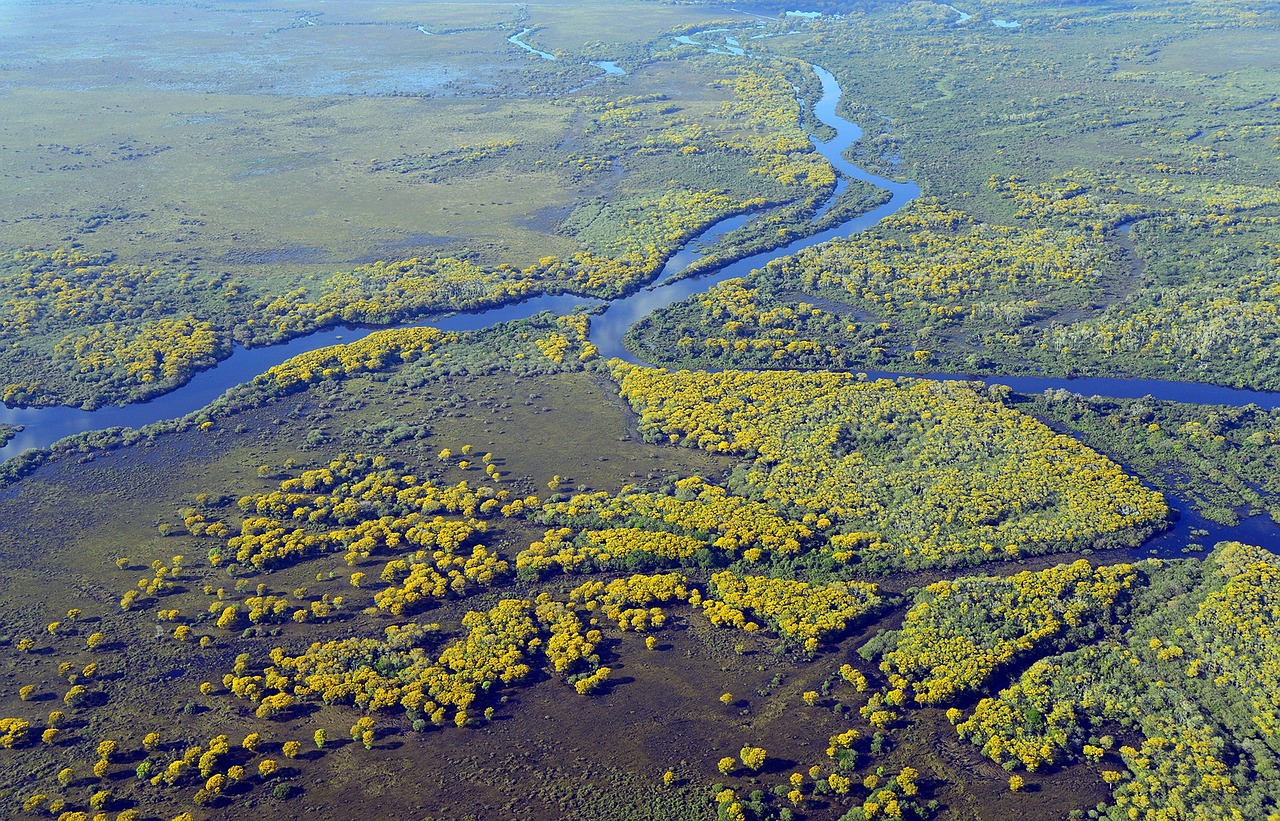 Pantanal Wetlands, Brazil
