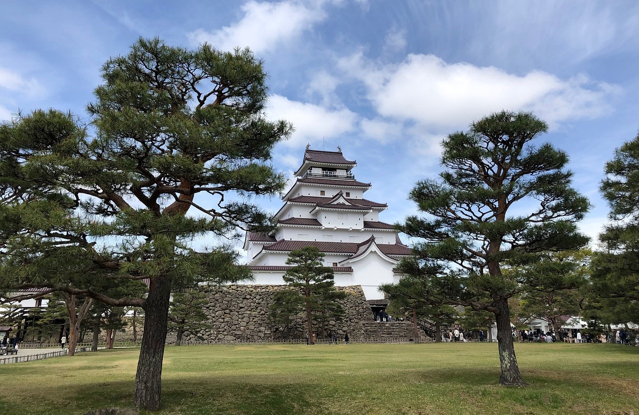 Tsuruga Castle