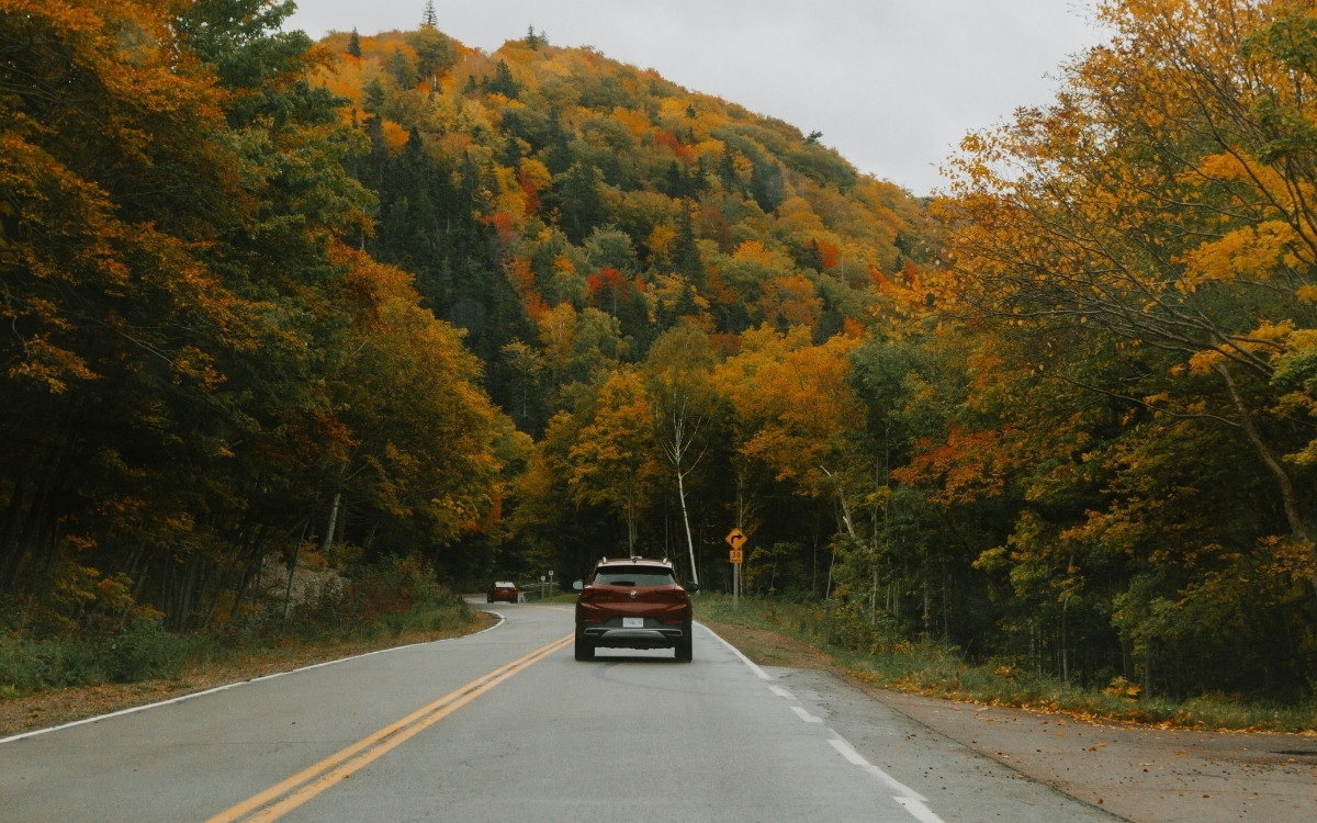 New Englanders Are Tired of Tourists Ruining Fall Leaf Season