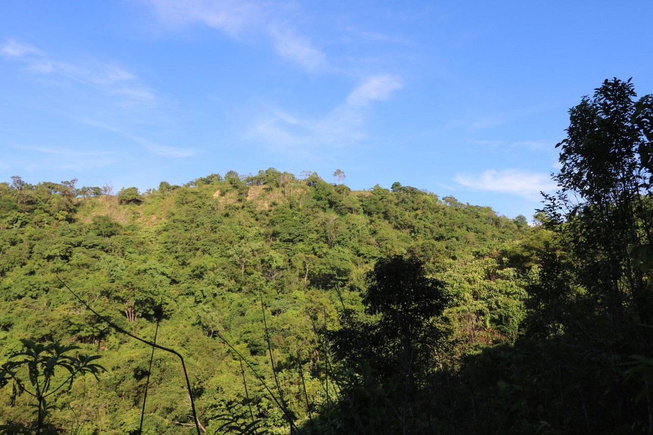 Zikha Taung, the highest point on Ramree Island