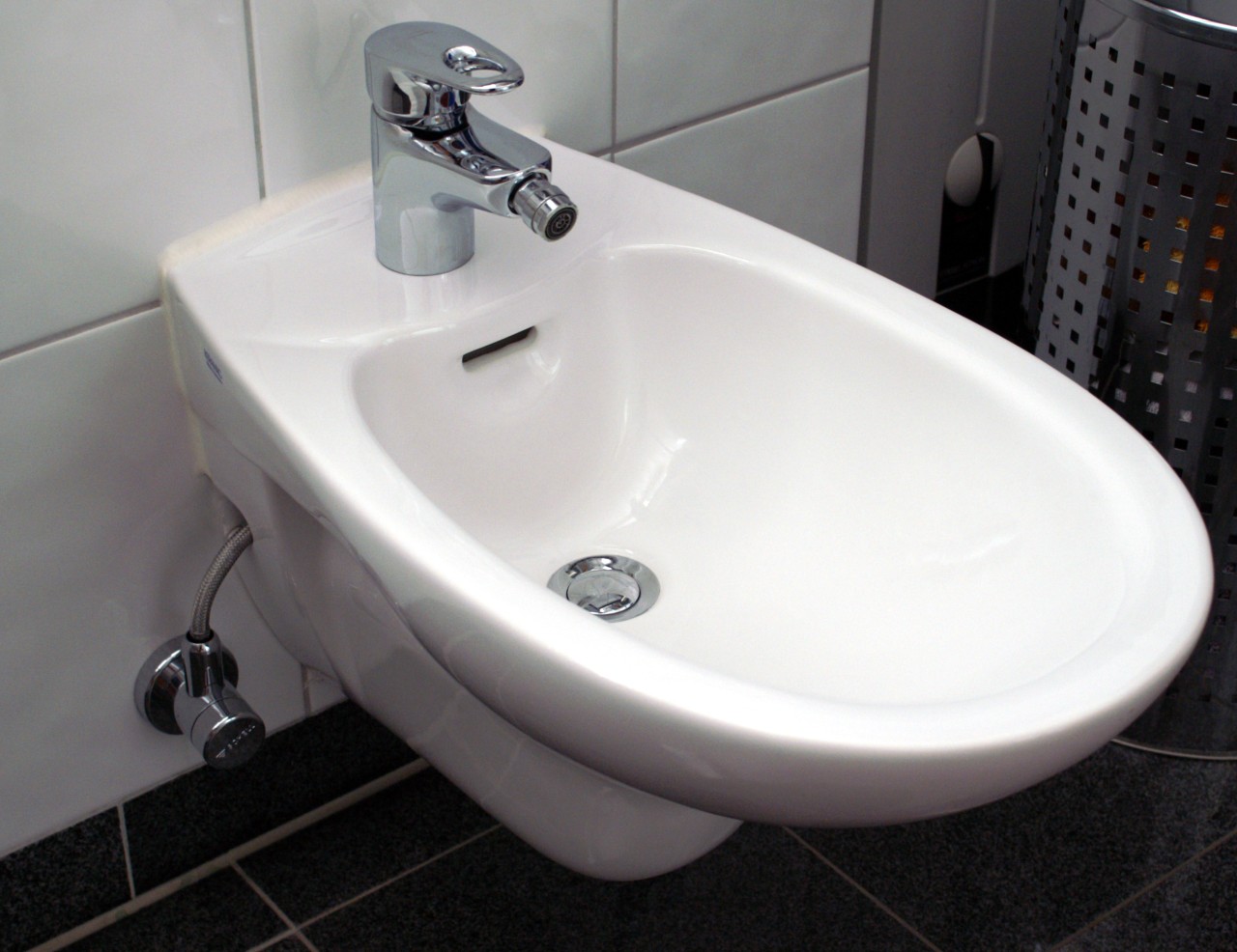 Mandatory Bidet Use in Specific Regions