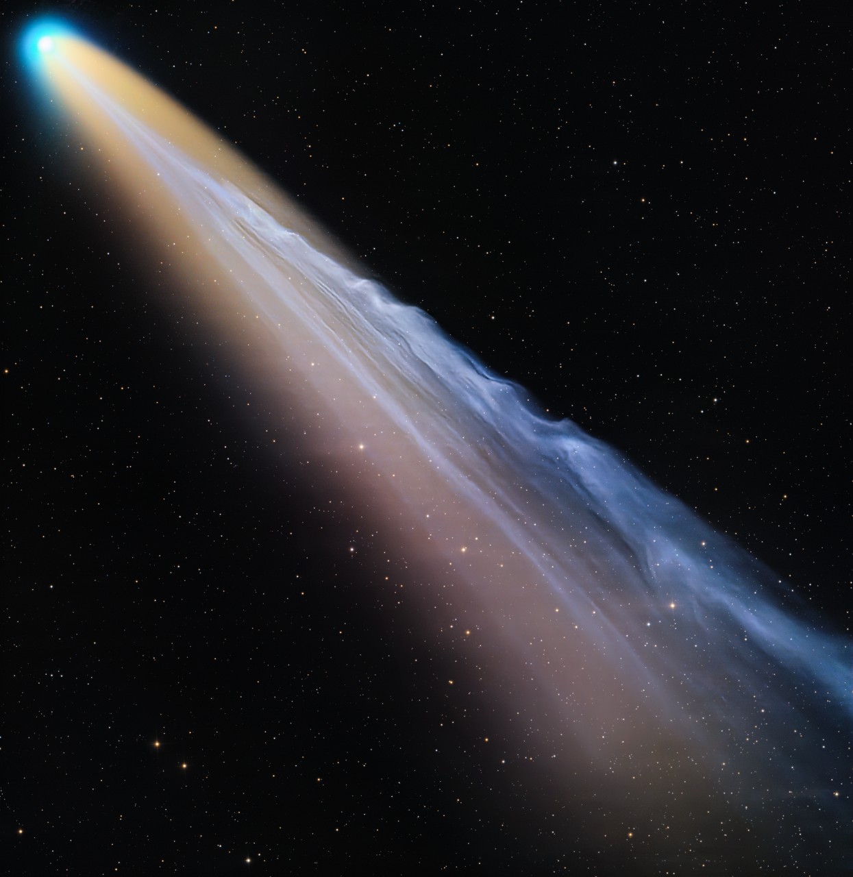 Comet Tail Disconnection Event