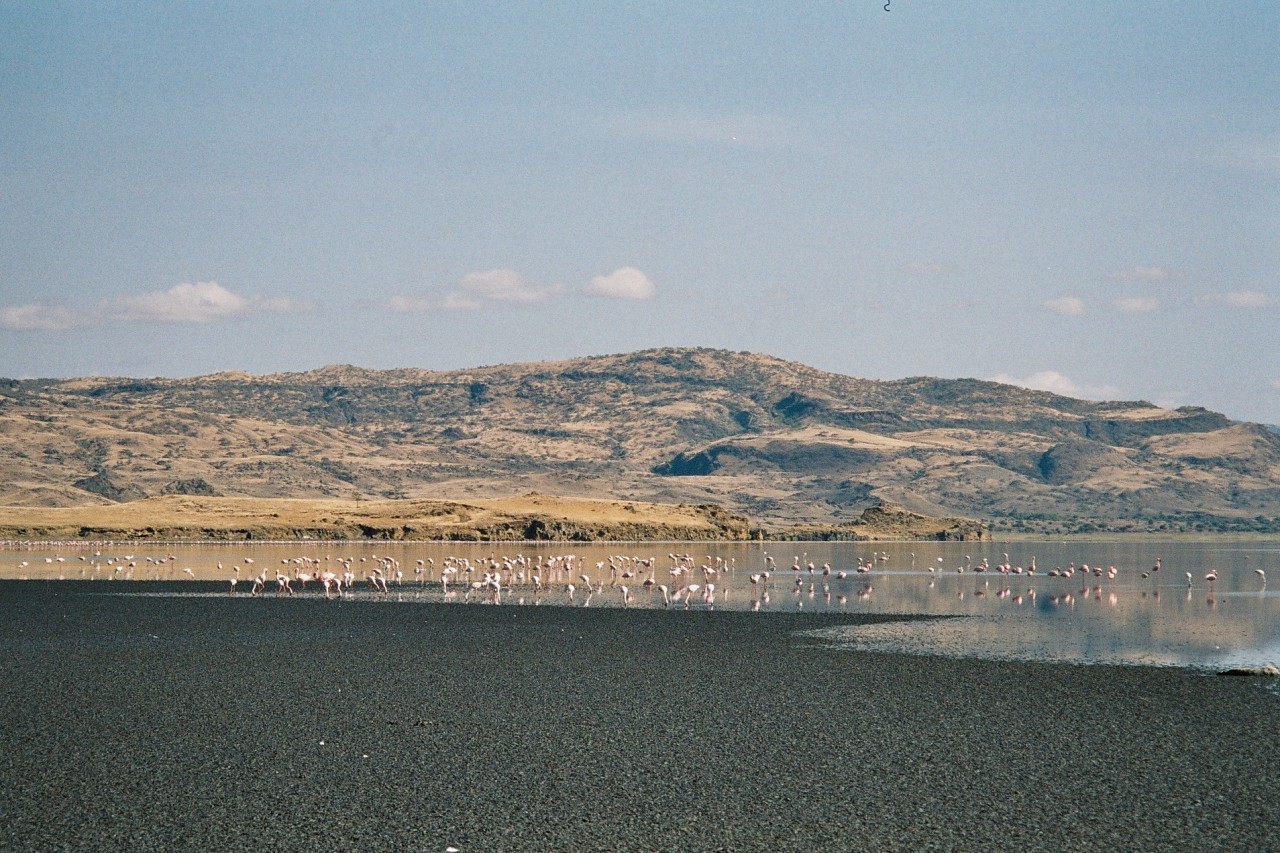 Lake Natron, Tanzania