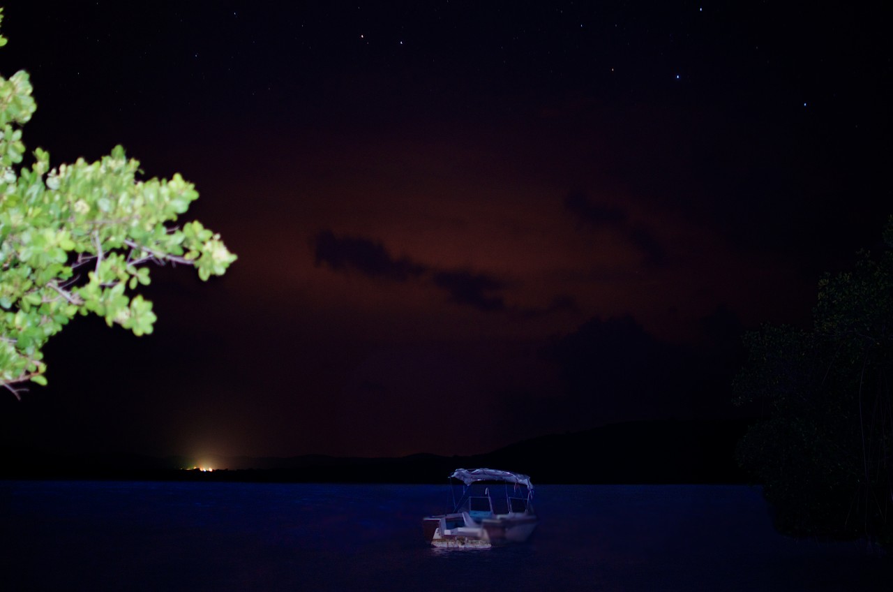 Bioluminescent Bays, Puerto Rico