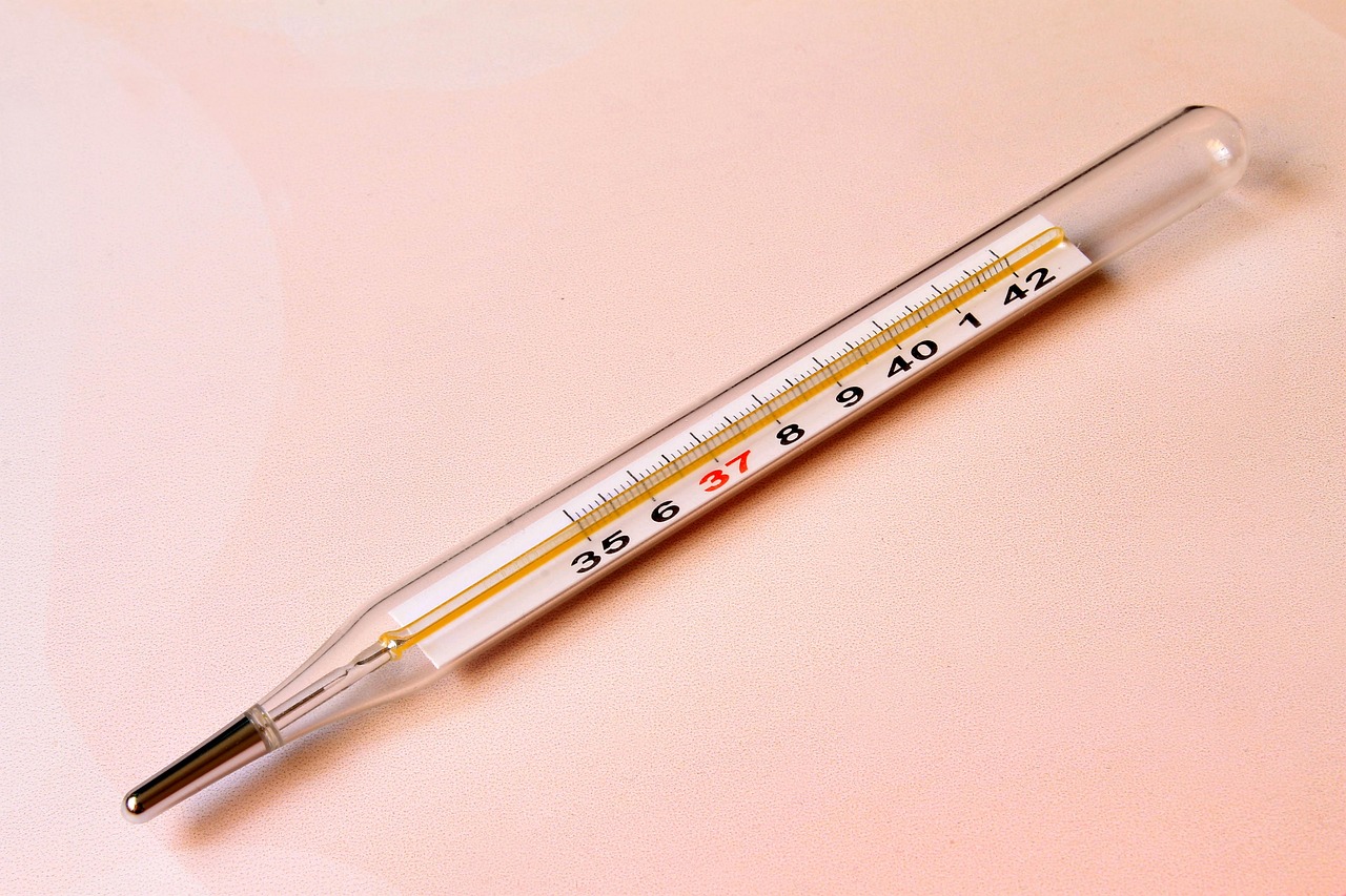 Mercury Thermometer