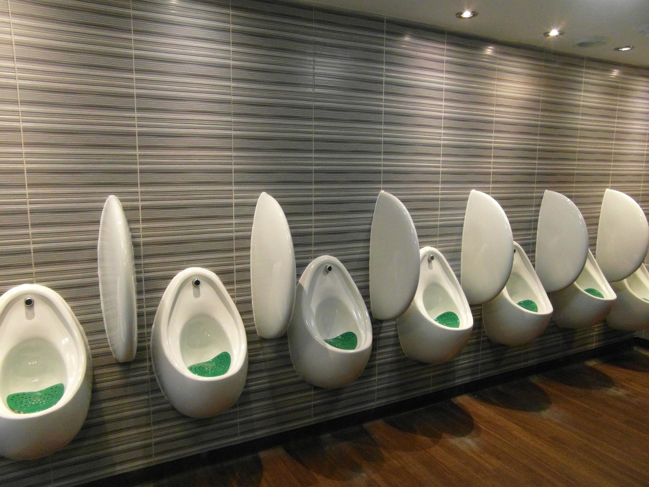 Public Urination Laws