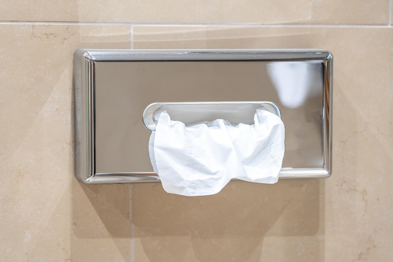 Strict Toilet Paper Disposal in Certain Countries