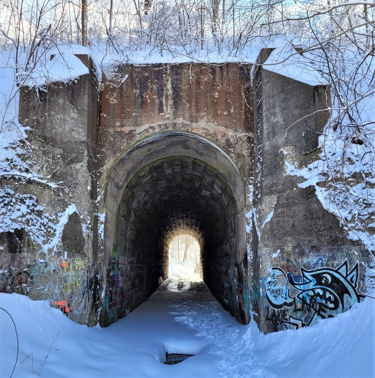 The Screaming Tunnel