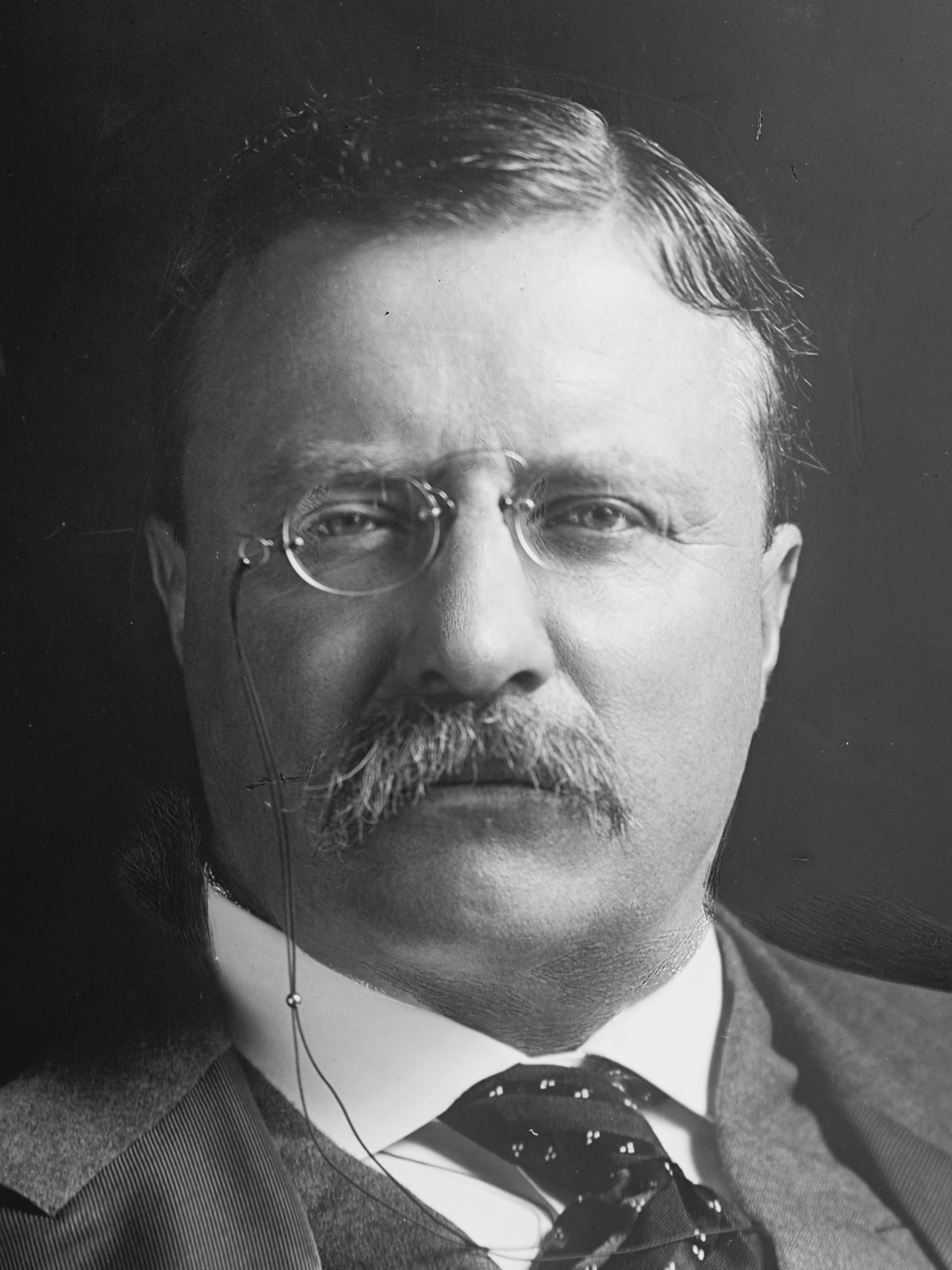 Theodore Roosevelt