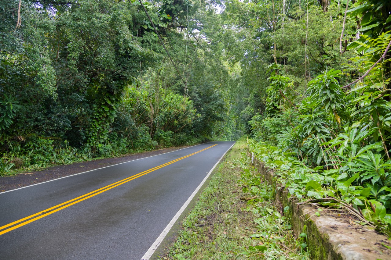 Hana Highway, Maui, Hawaii