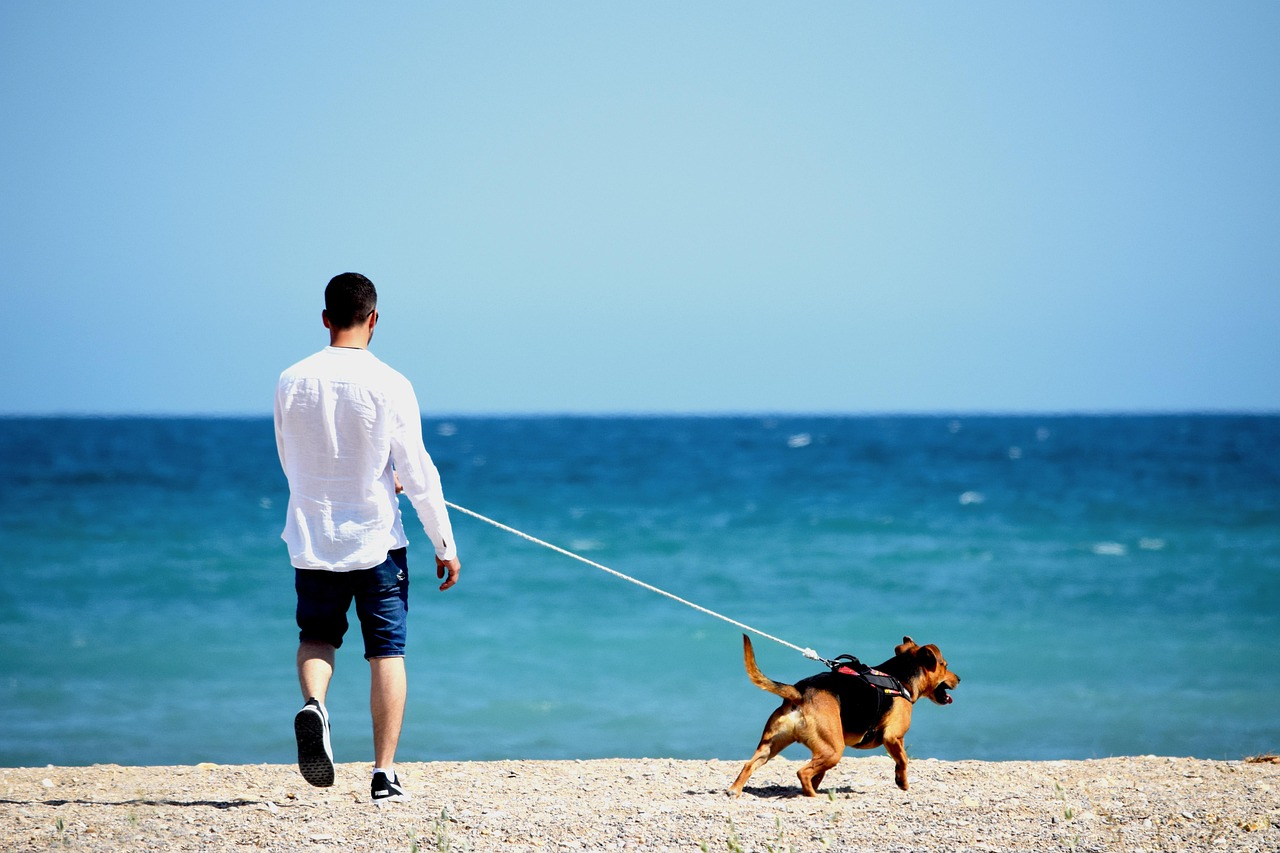 Restrictions on Selling Animals