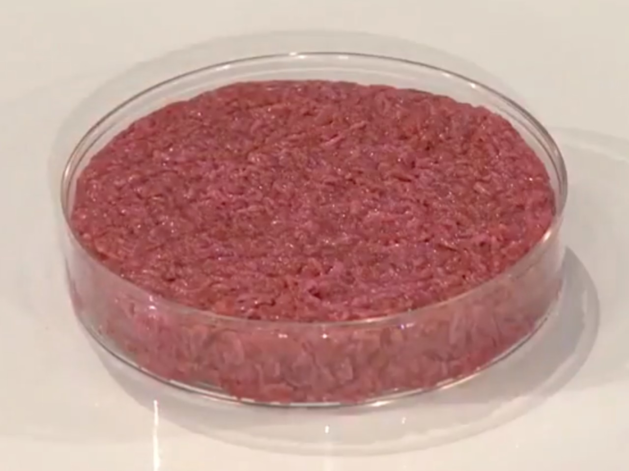 Cultured meat 