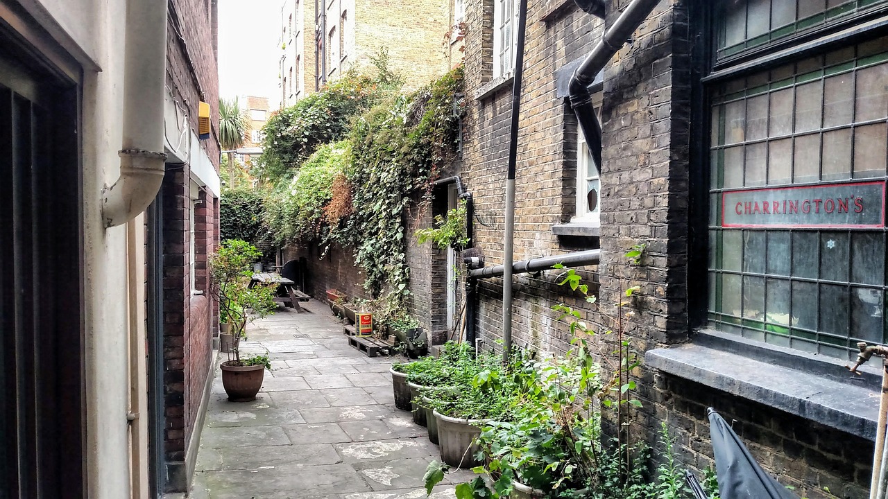Secluded Alleyways in Major Cities